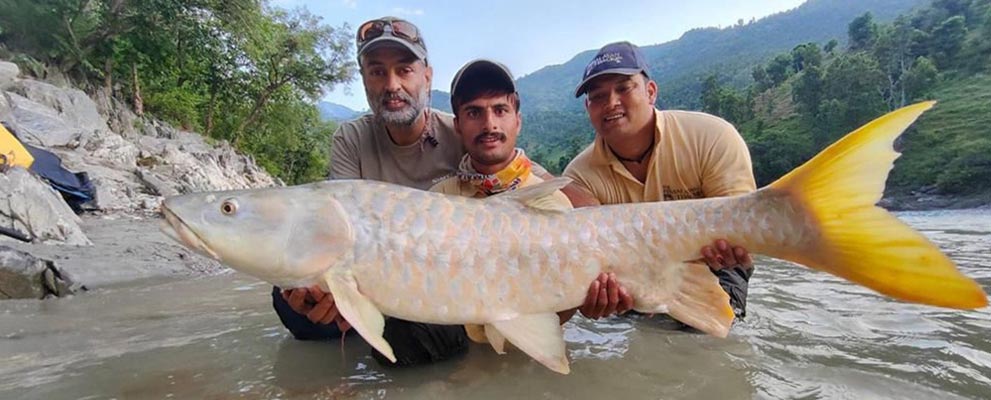 Mahseer Fishing, India