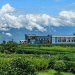 Darjeeling Tour