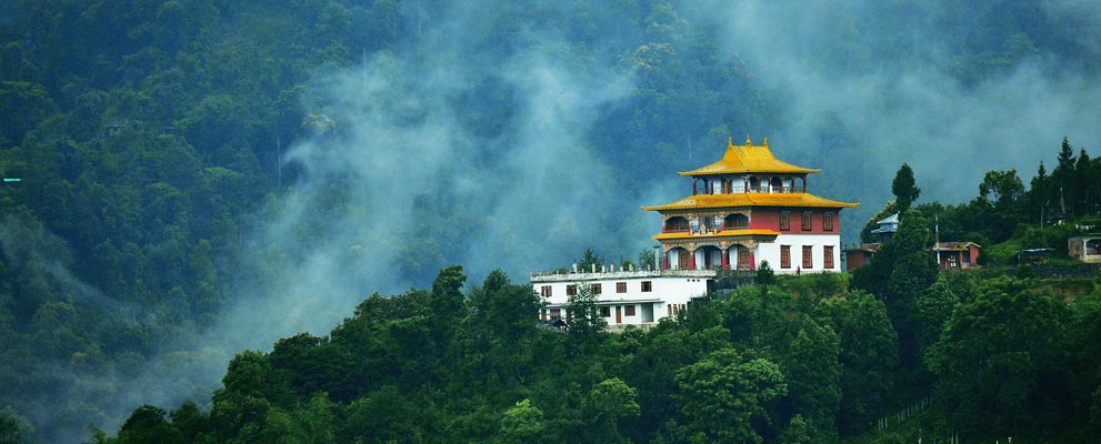 Tea Gardens, North East India Tourism