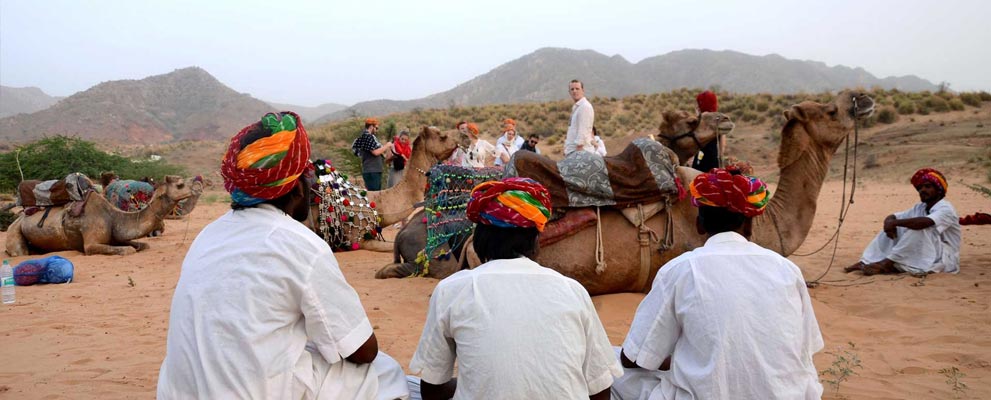 Camel Safari