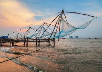 Chinese Fishing Net, Cohcin