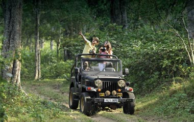 Jeep Safari