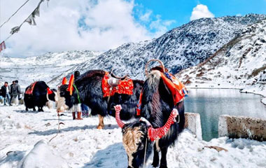 Golden Triangle Tour with Himalayan Monasteries