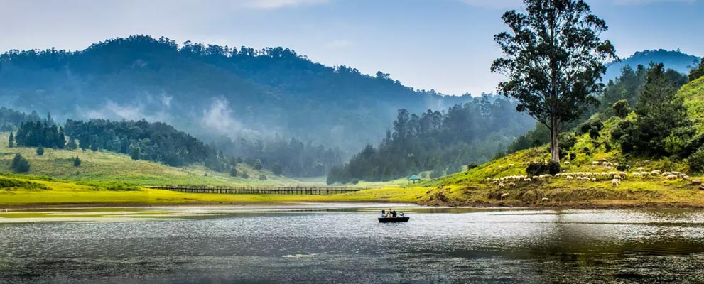Kodai Lake - Kodaikanal