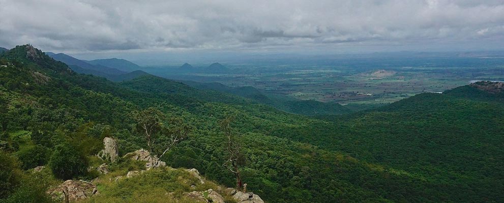 Biligirirangan Hills National Park