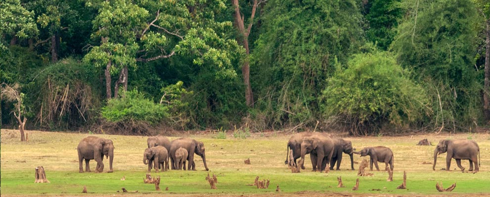 Nagarhole National Park