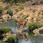 Panna National Park, Madhya Pradesh