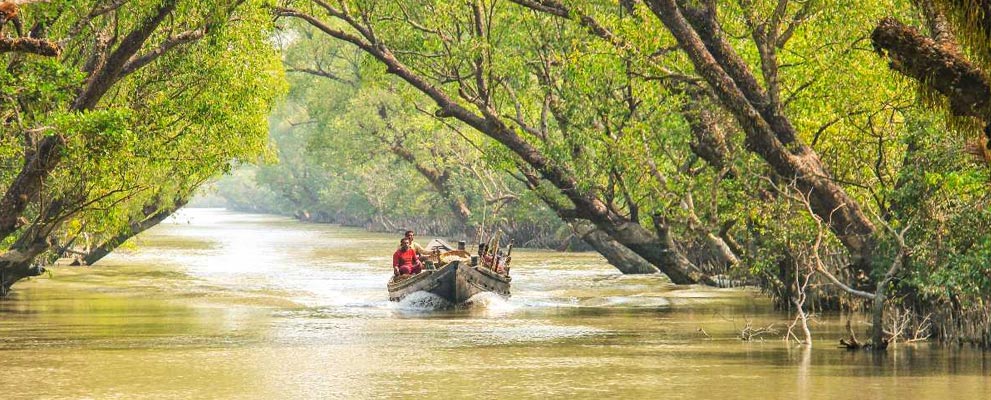 Sunderban Wildlife Tour